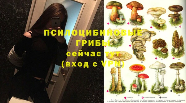 прущая мука Магас