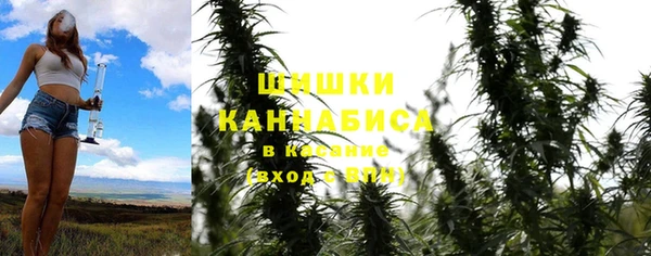 прущая мука Магас