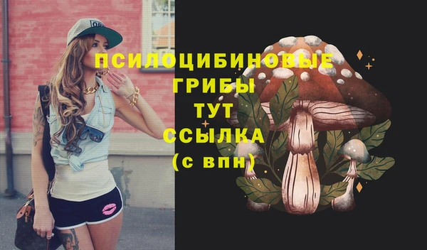 гидра Магадан